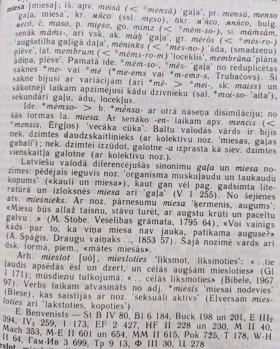 miesa__miesla.jpg